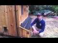 How to stop your chickens from eating their eggs Tips Help ideas