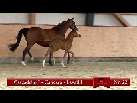 22. Cascadello I - Cancara