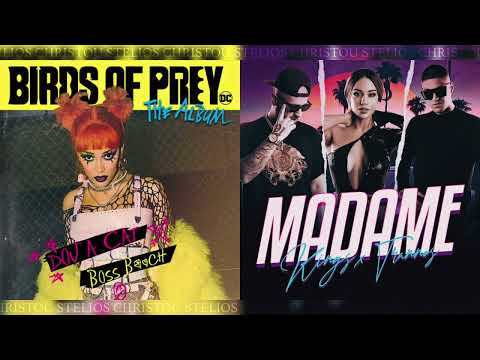 MADAME x BOSS B*TCH FT. KINGS x TRANNOS, DOJA CAT (MASHUP by STELIOS CHRISTOU)