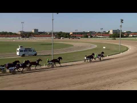 2020.08.22. 08. futam - CSICSERY-RÓNAY ISTVÁN EMLÉKVERSENY HENDIKEP