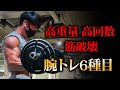 最短で上腕40cmを超える王道の腕トレルーティン【厳選6種目】