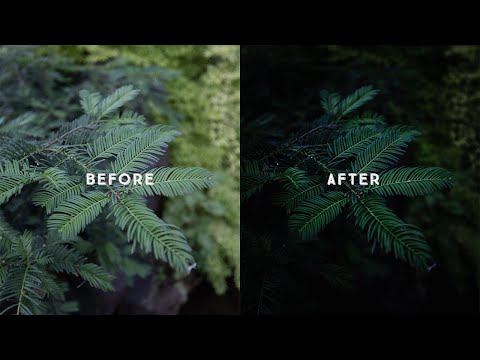 How to edit MOODY GREENS in Lightroom EASILY