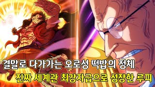 [원피스 1037화 심층분석]오로성의 대화에서 밝혀지는 충격적인 떡밥들 진짜 세계관 최강자급으로 성장한 루피