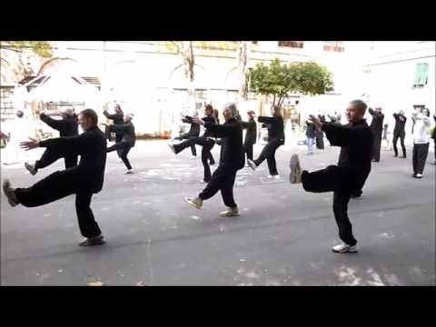 WU Style TAI CHI CHUAN Tradizionale di Shanghai - GENOVA giornata mondiale del Taiji 2016