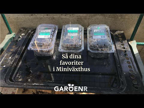 Så dina favoriter i Miniväxthus - Trädgårdshacks med GardenR