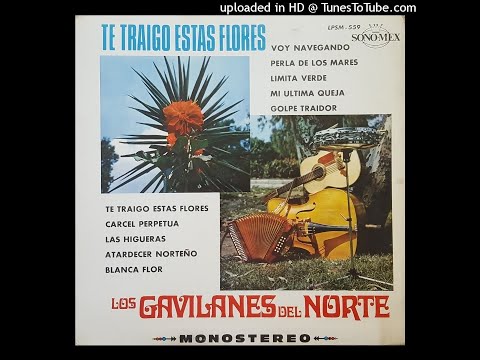 Los Gavilanes Del Norte - Te Traigo Estas Flores (Disco Completo)