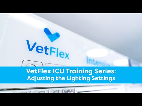 Adjusting the Lighting Settings
