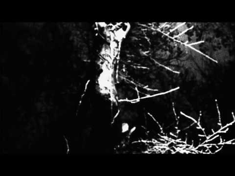 Communicaution - A Short Term Effect (Official)