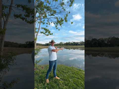 CHÁCARA À VENDA em MARAVILHA - SC | 1.7 HECTARES