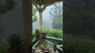 Download lagu HUJAN GERIMIS DI SAUNG | HALU STORY #shorts  #storyhalu #storyig #storywa mp3 Download lagu HUJAN GERIMIS DI SAUNG | HALU STORY #shorts  #storyhalu #storyig #storywa mp3