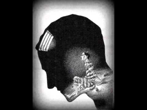 Waflo   Czy warto Prod  Yellowstone