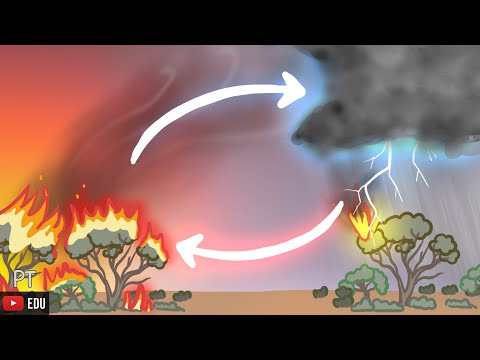 Como incêndios florestais geram tempestades