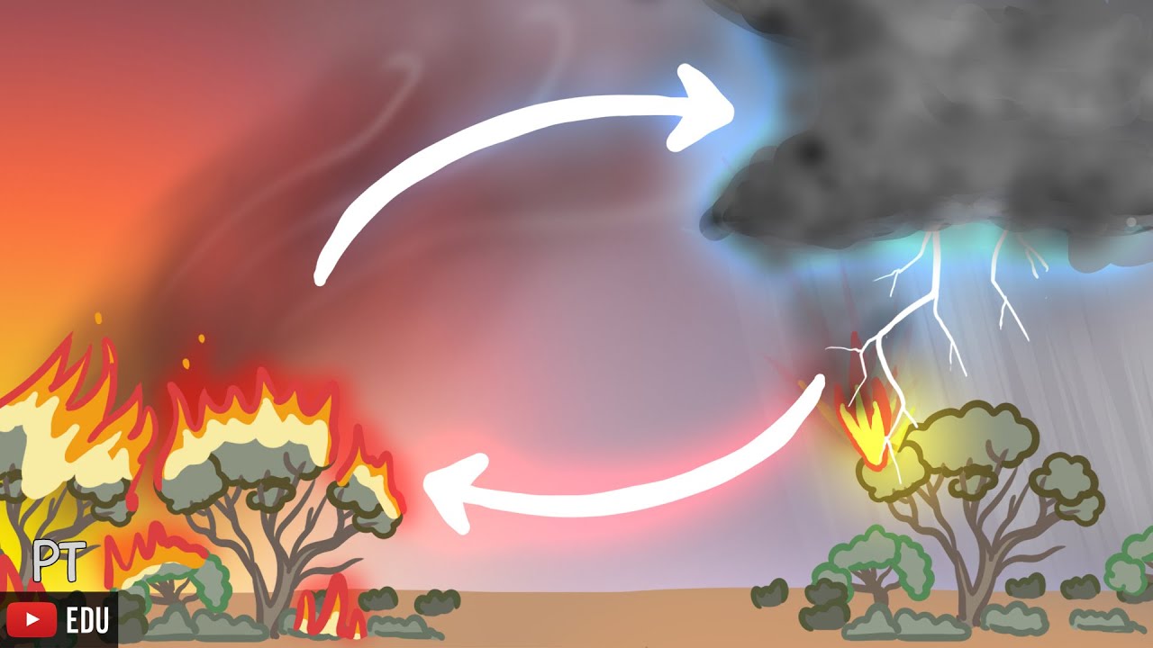 Como incêndios florestais geram tempestades "sem fim"? | Minuto da Terra