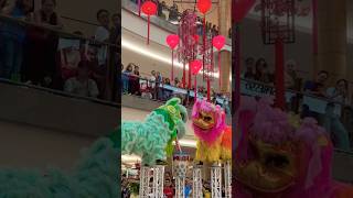 Download lagu #liondance #chinesenewyear #kualalumpur #malaysia #2025 mp3