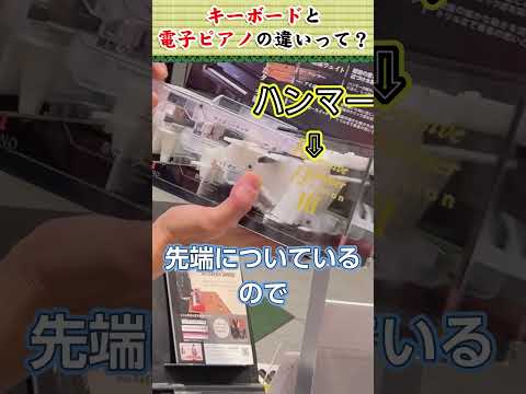 ピアノを始めるならポータブルキーボードと電子ピアノどっちが良い？#ピアノ #電子ピアノ #キーボード