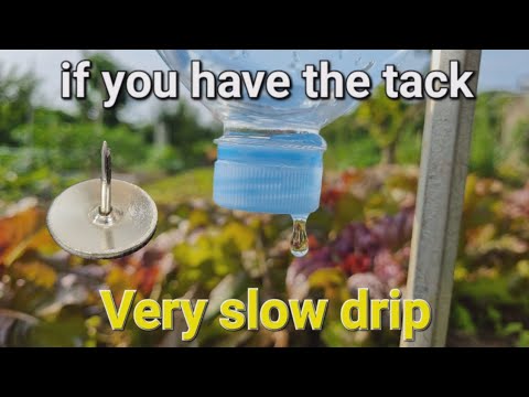 Drip irrigation system slowly 😋 plastic bottle self gravity watering for the garden plants pots