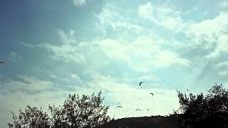 ricky eat acid - sometimes you make people sad