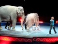 RINGLING Baby Barack And Bonnie