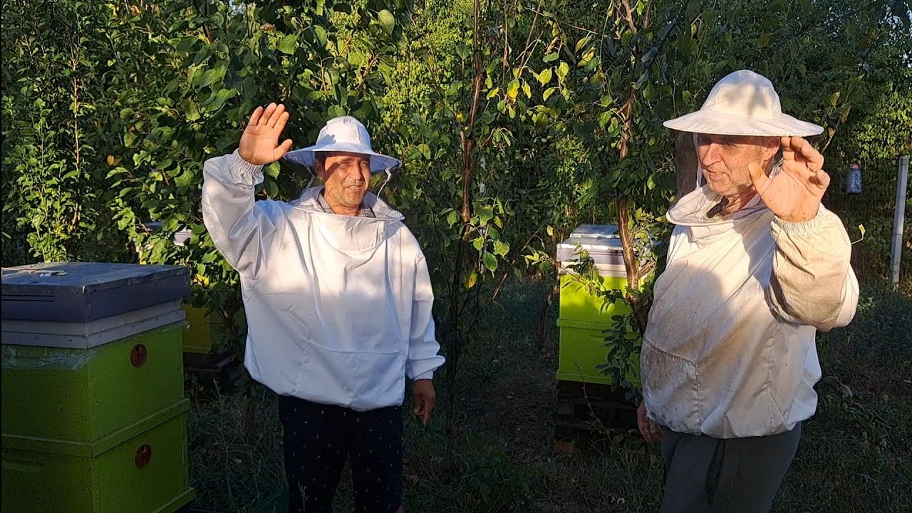 În stupina prietenului, Antal🐝🐝🐝