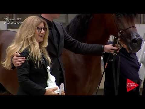 Deauville 2017 - Best French Horse Male