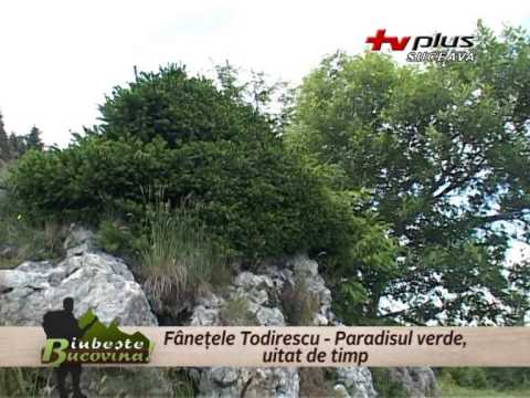 Iubește Bucovina - Fânețele Todirescu - Paradisul verde... uitat de timp