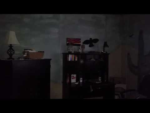 Orbs spirit in motion, sentient beings, or ghosts?