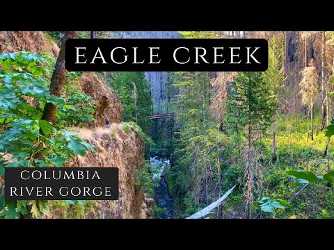 Eagle Creek Trail // Our favorite adventure in the Gorge