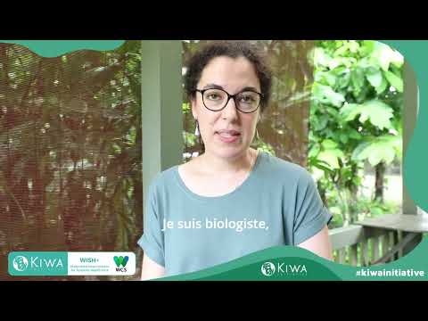 Discovering our regional projects - Focus on the Kiwa #WISH+ project