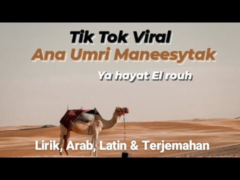 VIRAL! Speed Up Lagu Arab " Ana Umri Mani Syitak " Ya Hayat El Rouh Lirik Arab Latin & Terjemahan