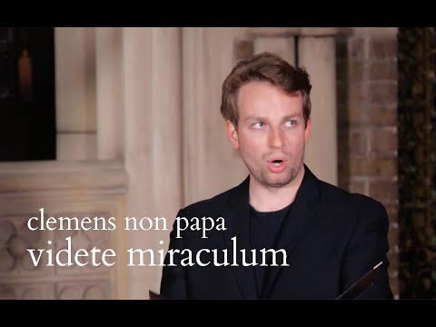 Clemens non Papa - Videte miraculum | The Marian Consort
