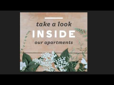The Lodge Intro