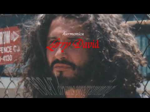 "LA SOLA PER SEMPRE" by Beppe Cantarelli ft. Larry David (Bilingual Subs)