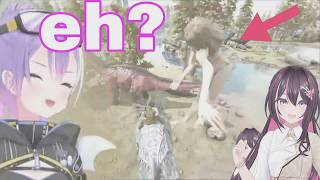 Towa Sama Can't Stop Laughing At Azki Got Yeeted Mid Air | Ark Survival Evolved [Hololive/Sub]