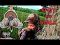 AFTERNOON TURKEY HUNT Spot And Stalk Success