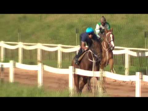 2012-11-12 Maria's Boy trackwork