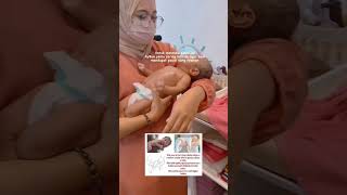 Download lagu CARA GENDONG BAYI Tiger on the tree bayi auto berhenti nangis mp3