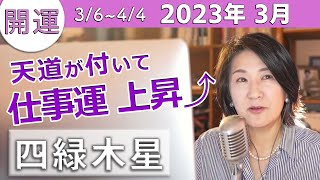 【四緑木星】2023年3月の運勢【仕事運上昇中!】九星気学で占います。