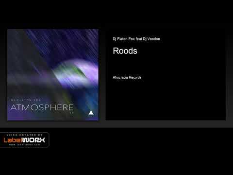 Dj Flaton Fox feat Dj Voodoo - Roods (Original Mix)