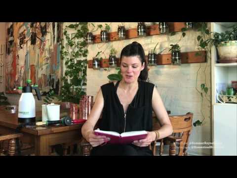 Caring for Plants - Equipment + Keeping Track — Plant One On Me — Ep 013