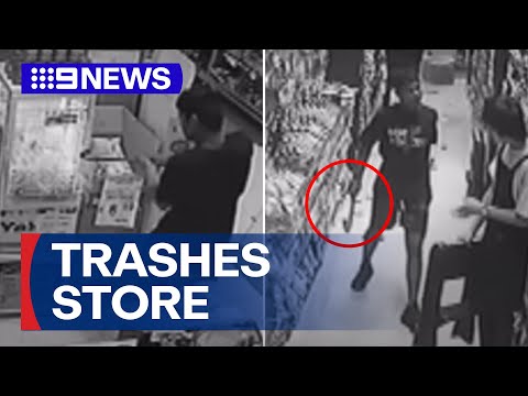 Melbourne Asian grocer trashed by armed teens | 9 News Australia