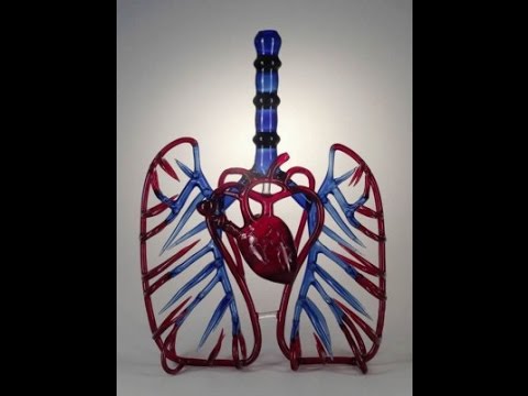 Young Face - "Higher" (Official Video) #DDCTE