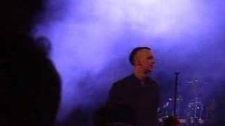 Dreadful Shadows Dusk Amphi Festival 2007