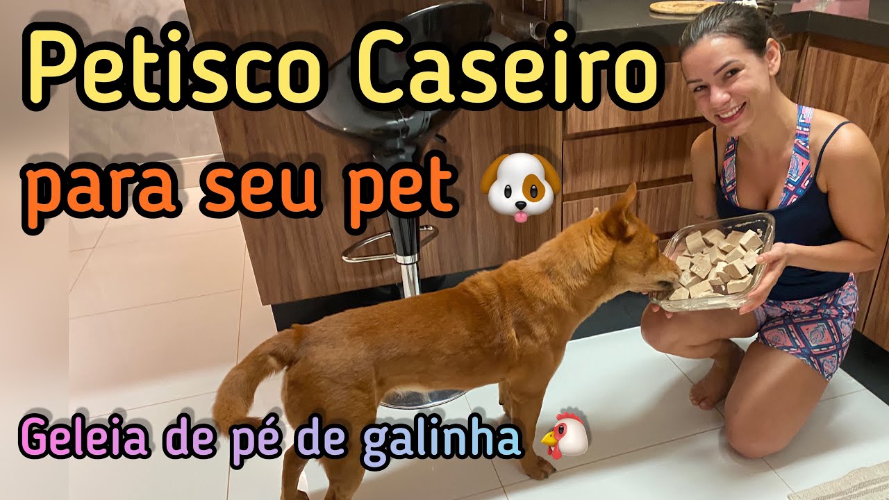 RECEITA DE PETISCO CASEIRO PARA PETS!!! Geleia de pé de galinha 🐓  (saboroso e nutritivo)
