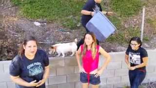 Go Betty Go ALS Ice Bucket Challenge