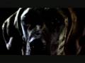 The Long Blondes - Guilt