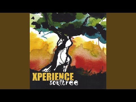 I'm Free (feat. Macklemore)