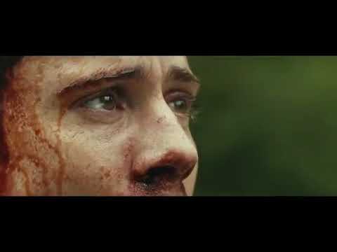 King Kong Vs giant squid