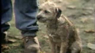 Banned Superbowl Commercial XXXVIII Bud Light Good dog Bad Dog