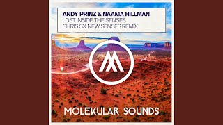 Lost Inside The Senses (Chris SX New Senses Remix)