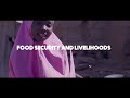 SAVE THE CHILDREN'S EU SUPPORT TO EARLY RECOVERY FROM CONFLICT AND RESILIENCE BUILDING IN YOBE